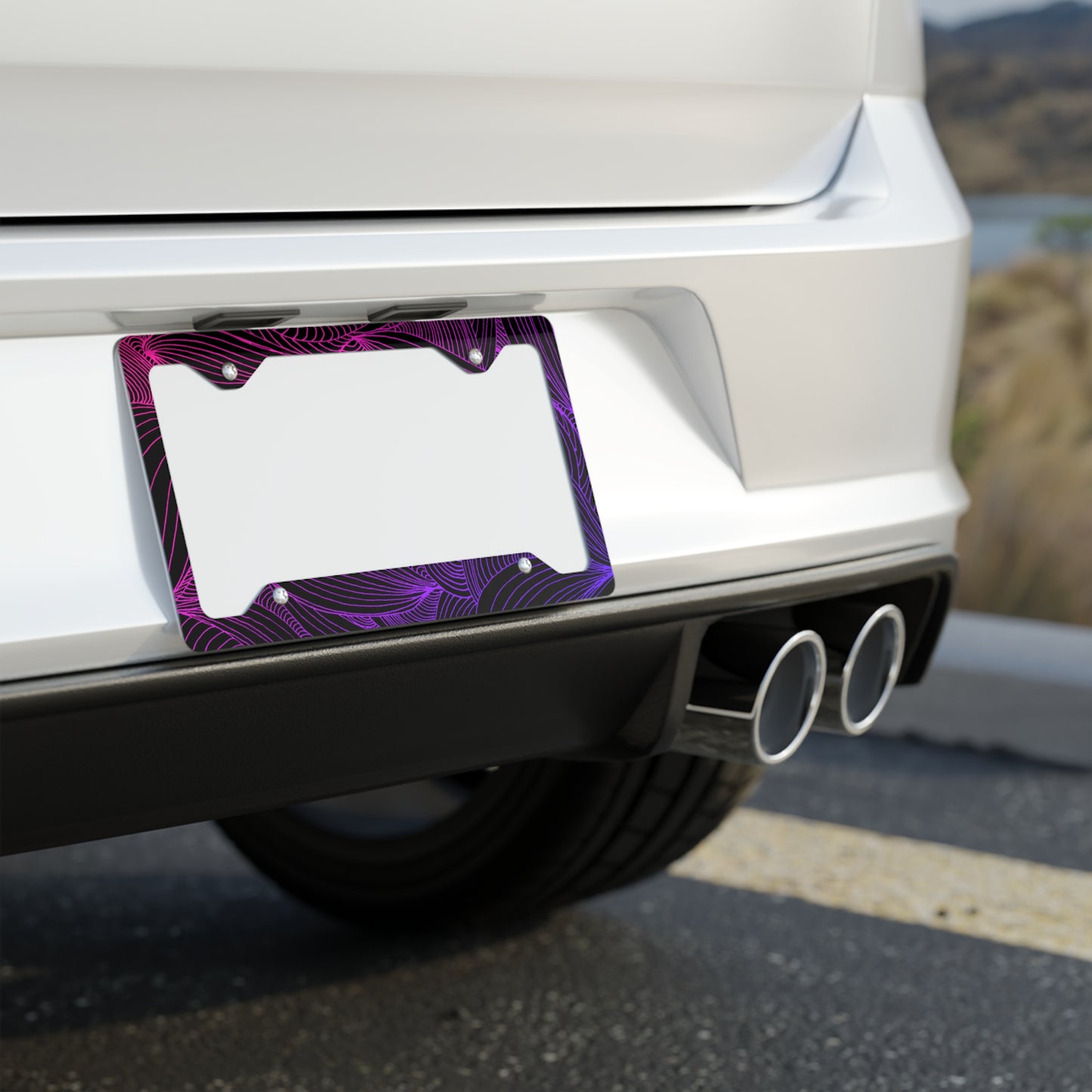 Metal License Plate Frame