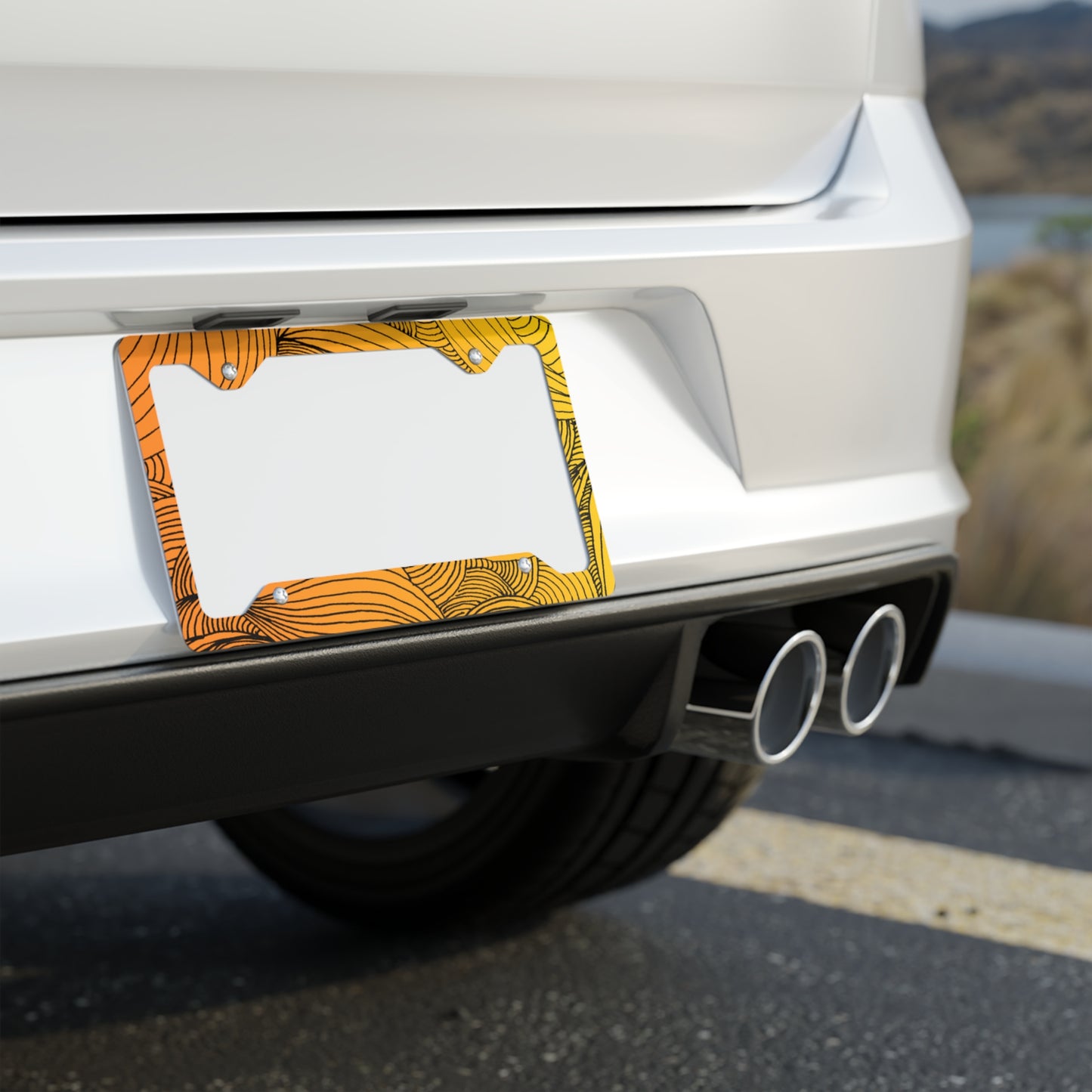 Metal License Plate Frame